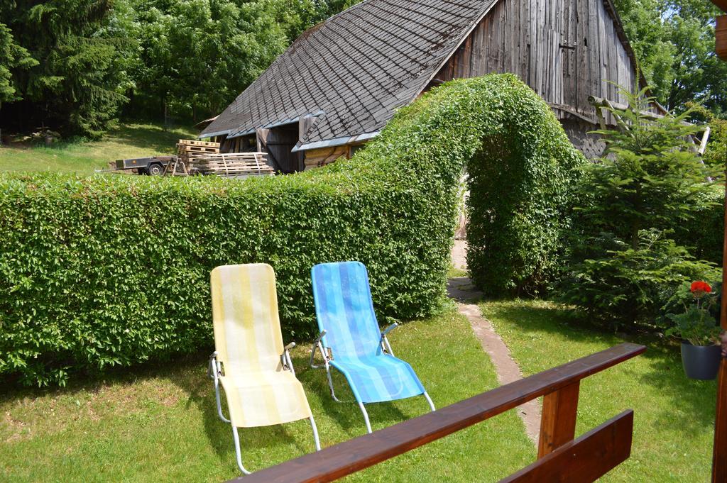 Apartmány Dana Horni Branna Exterior foto