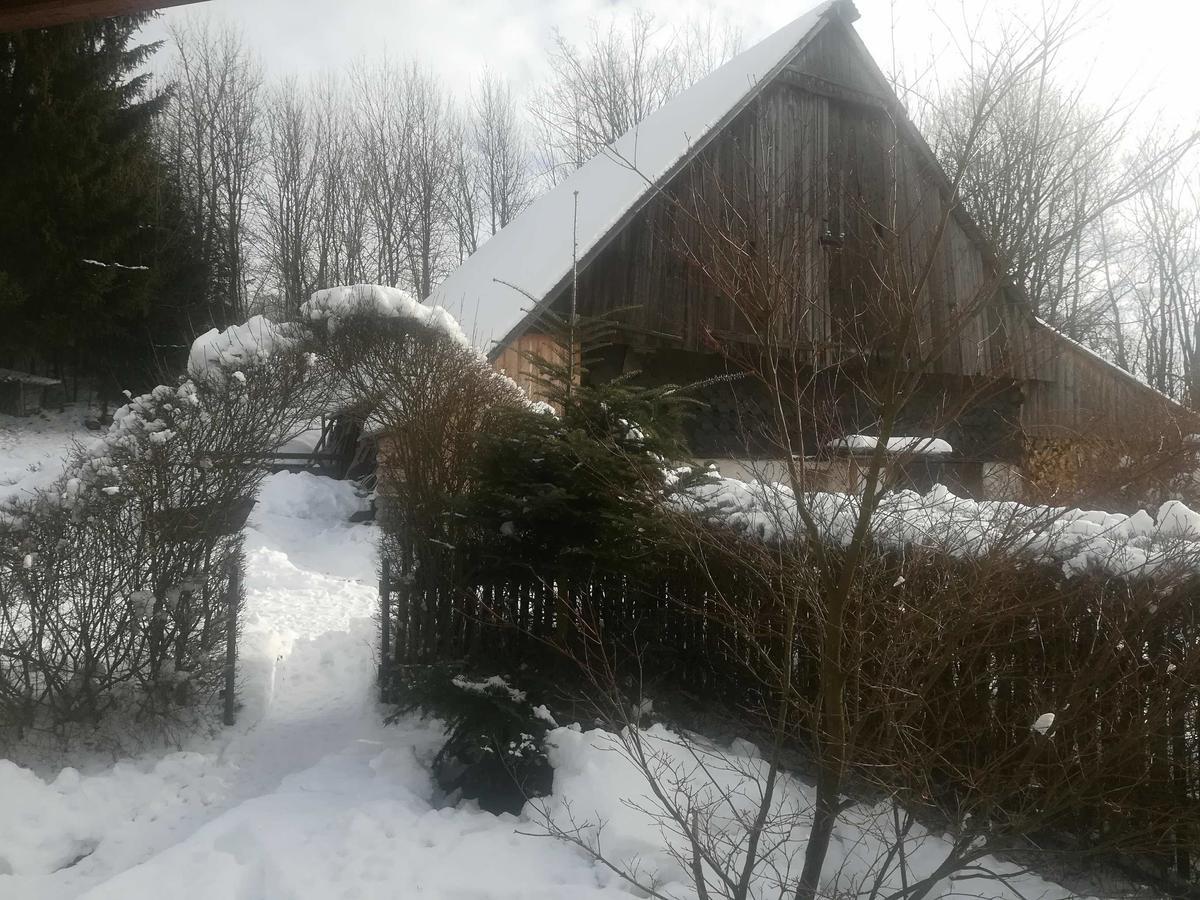 Apartmány Dana Horni Branna Exterior foto